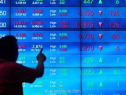 BEI Hentikan Sementara Saham POLA Usai Catatkan Kenaikan Gila 100% dalam Sebulan