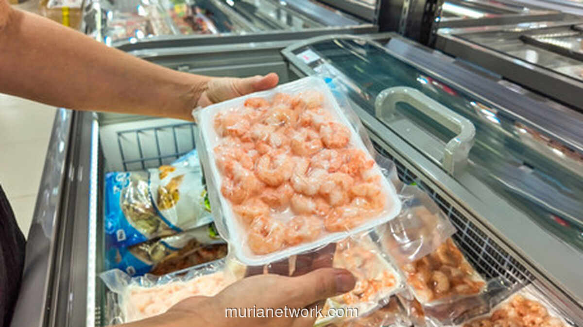 KKP Siapkan Ribuan Sertifikat untuk Jaga Ekspor Udang ke AS