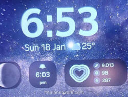 Smartwatch Kopilot yang Jatuh Masih Terekam Bergerak, Keluarga Berharap Dia Bertahan