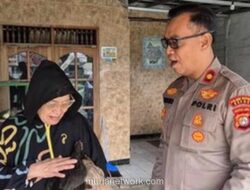 Dua Ayam Dicuri, Kapolsek Turun Tangan dan Kasus Berakhir Damai