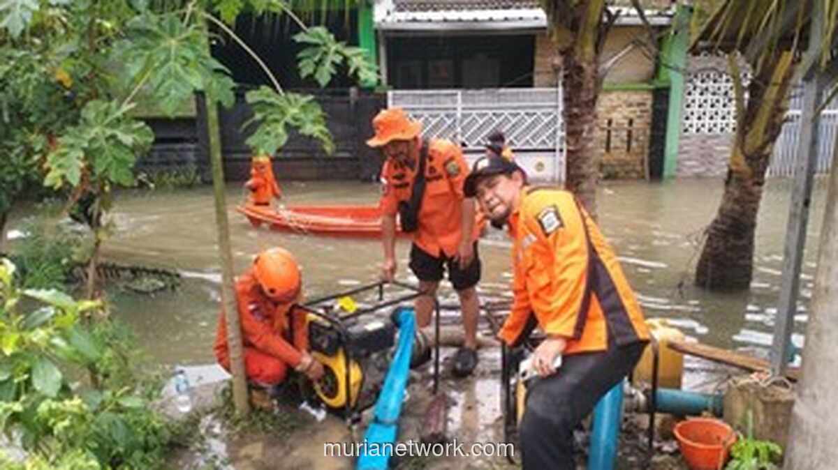 Genangan Air Masih Bertahan, Tiga Kabupaten di Banten Belum Pulih dari Banjir