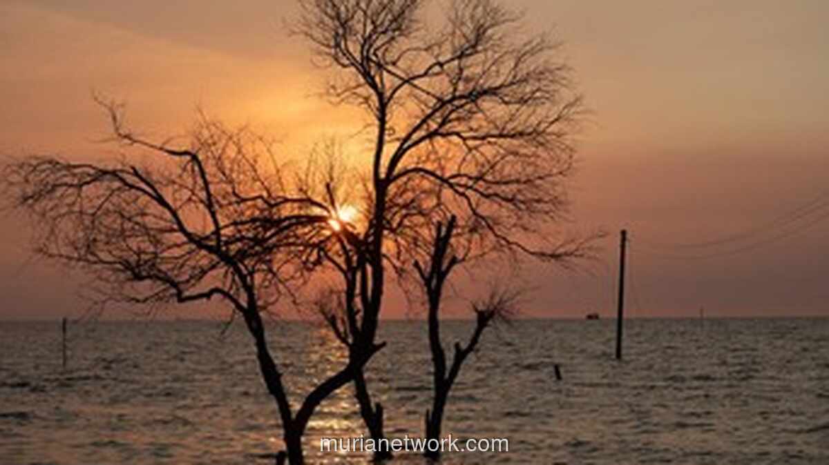 Indonesia di Ujung Tanduk: Krisis Lingkungan 2025 dan Pilihan Berat Menuju 2026