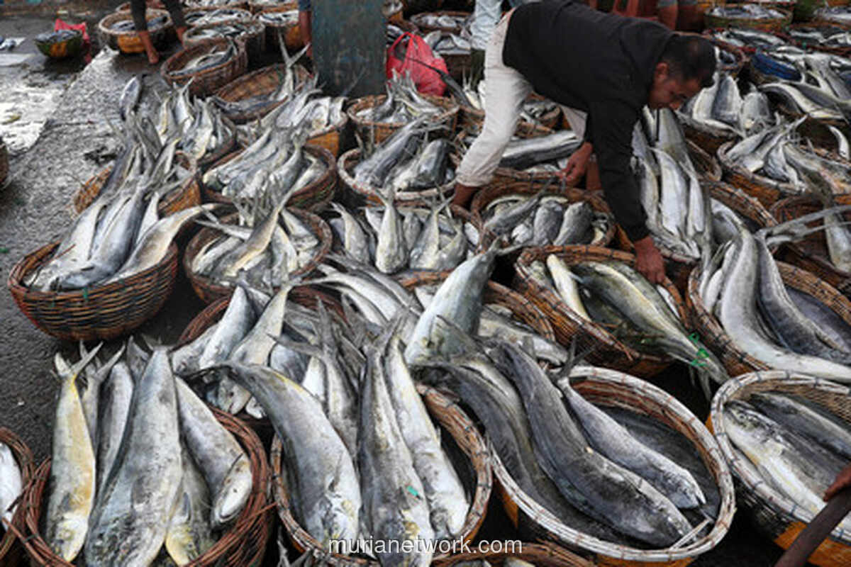 KKP Gagalkan Impor Ikan Ilegal, Selamatkan Rp 9,3 Miliar di Pelabuhan Utama