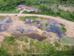 50.000 Ton Batu Bara Ilegal Diamankan di Tepian Sungai Mahakam