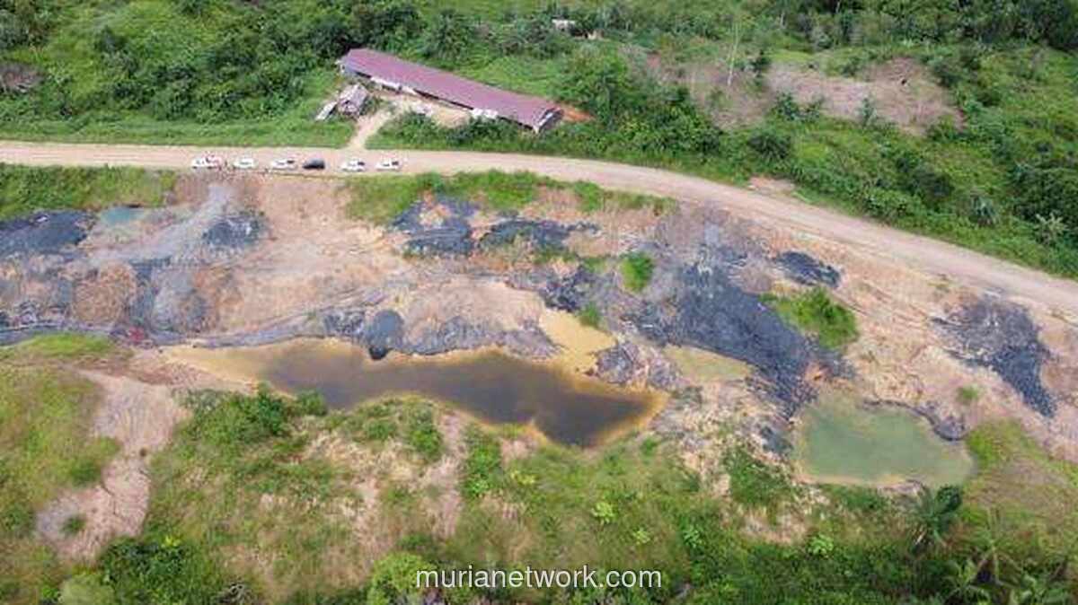 50.000 Ton Batu Bara Ilegal Diamankan di Tepian Sungai Mahakam