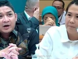 Anggota DPR Pasha Bentrok dengan Wamen PPPA Soal Program Pemberdayaan Perempuan