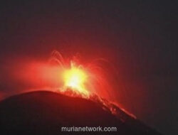 Ile Lewotolok Naik Status: 466 Letusan dalam Satu Malam Picu Level Siaga