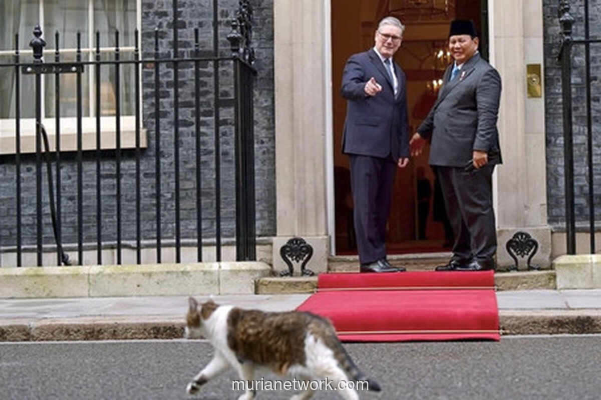 Larry Si Kucing Curi Perhatian Saat Prabowo Bertemu Starmer