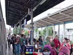Pohon Tumbang Lumpuhkan Layanan KRL Jalur Tanjung Priok
