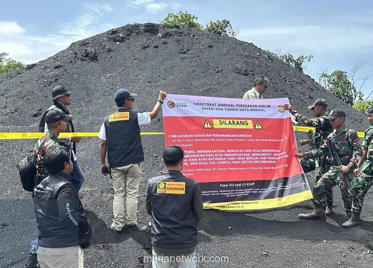 70 Ribu Ton Batubara Ilegal Diamankan di Kutai Kartanegara, Segera Dilelang