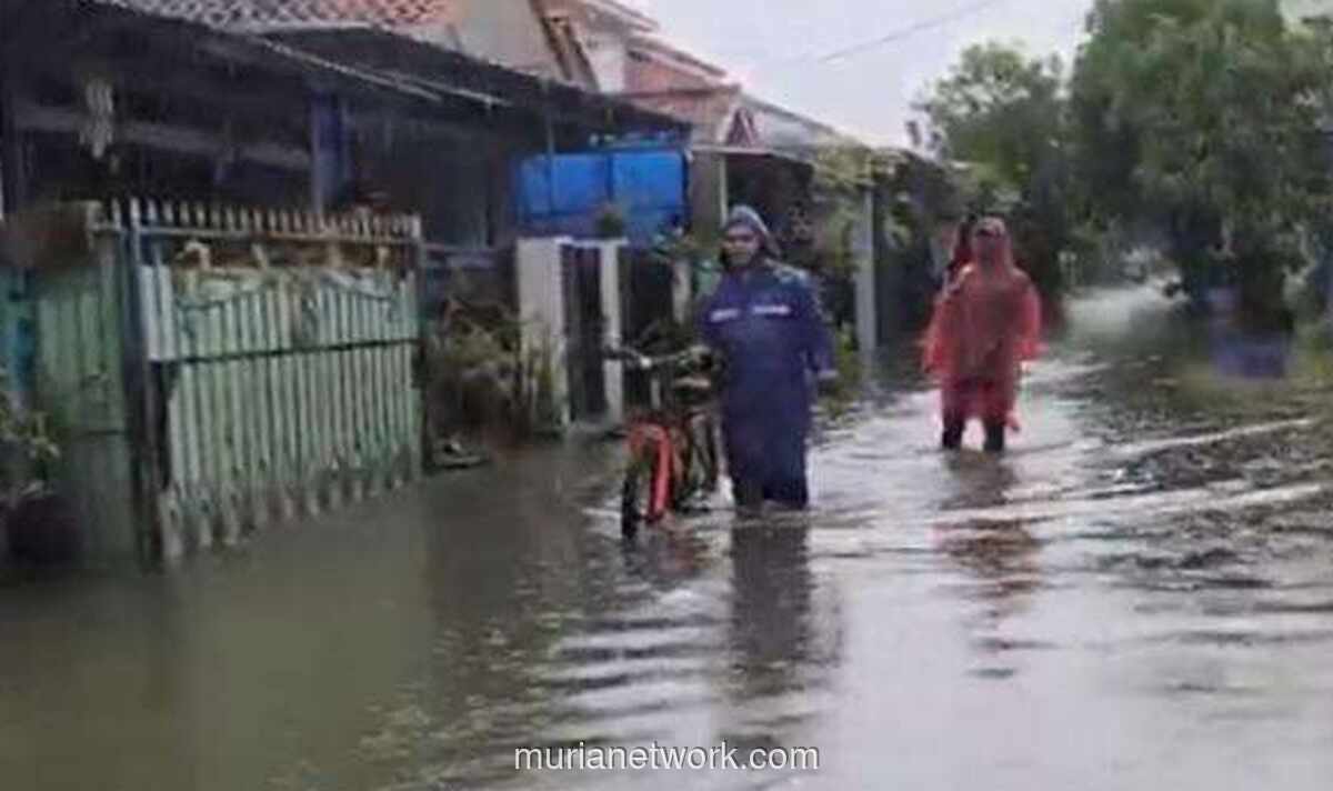 Indramayu Terendam, Warga Bertahan Demi Jaga Harta yang Tersisa