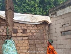 Pohon Raksasa Tumbang Timpa Permukiman di Bogor, 10 Jiwa Terdampak