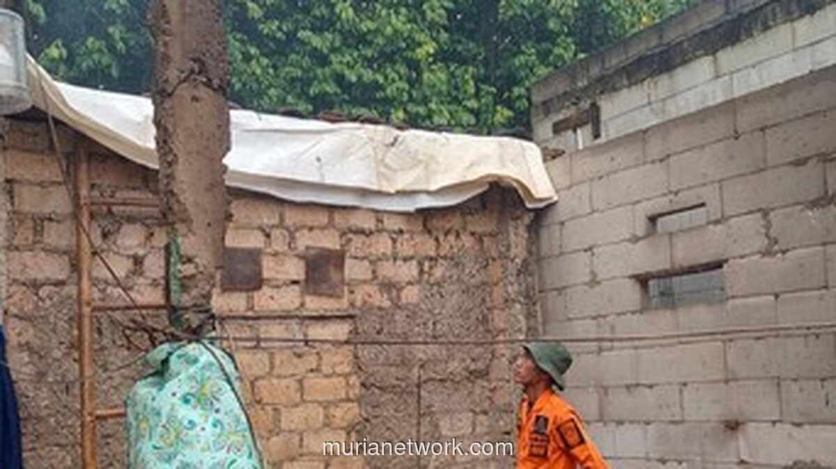 Pohon Raksasa Tumbang Timpa Permukiman di Bogor, 10 Jiwa Terdampak