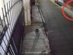 Molotov dan Bangkai Ayam: DJ Donny Jadi Sasaran Teror di Kediamannya