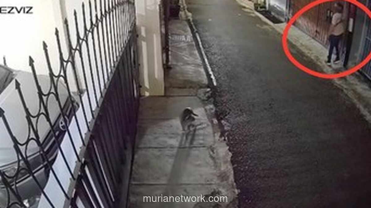 Molotov dan Bangkai Ayam: DJ Donny Jadi Sasaran Teror di Kediamannya