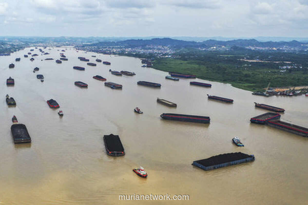 Timah Melonjak, Batu Bara Tembus USD 111: Pasar Komoditas Bergairah