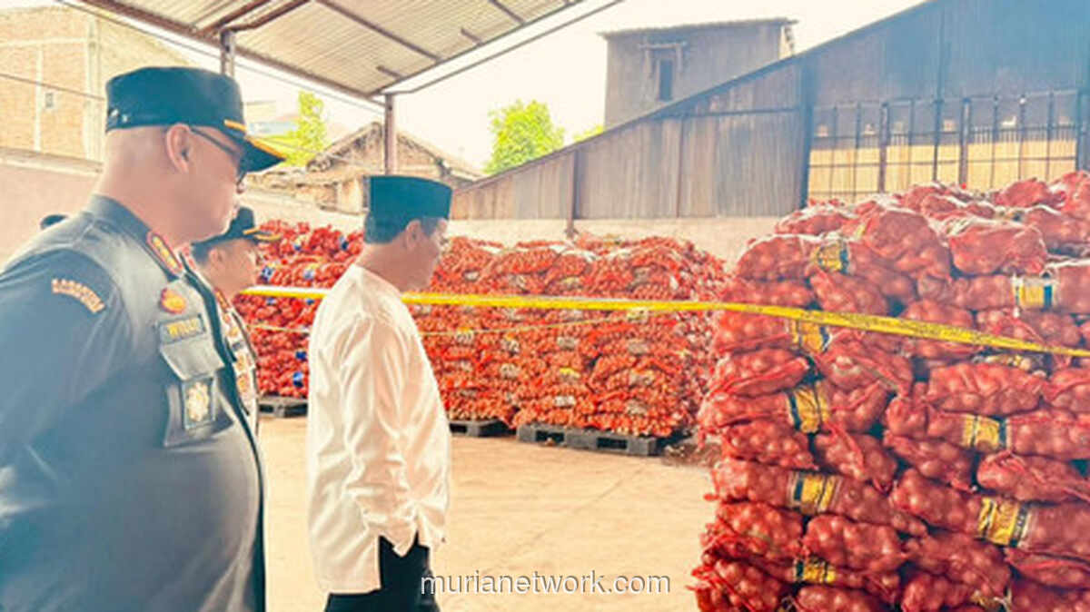 Telepon Subuh Mentan Amran Gagalkan 133,5 Ton Bawang Bombay Ilegal