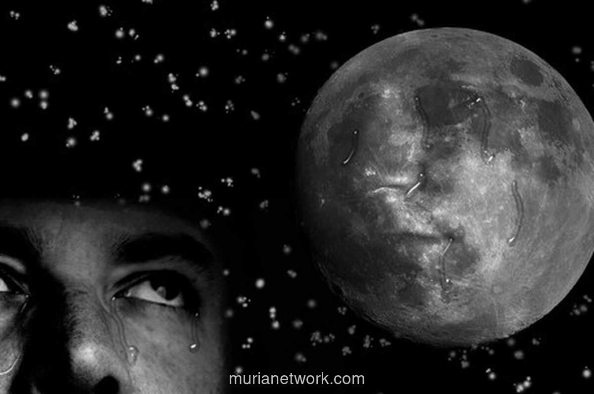 Dapur, Masakan, dan Kenangan Ibu: Dua Cerpen yang Menyimpan Memori Kolektif