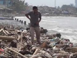 Pantai Teluk Labuan Diserbu Sampah Kayu Pendatang