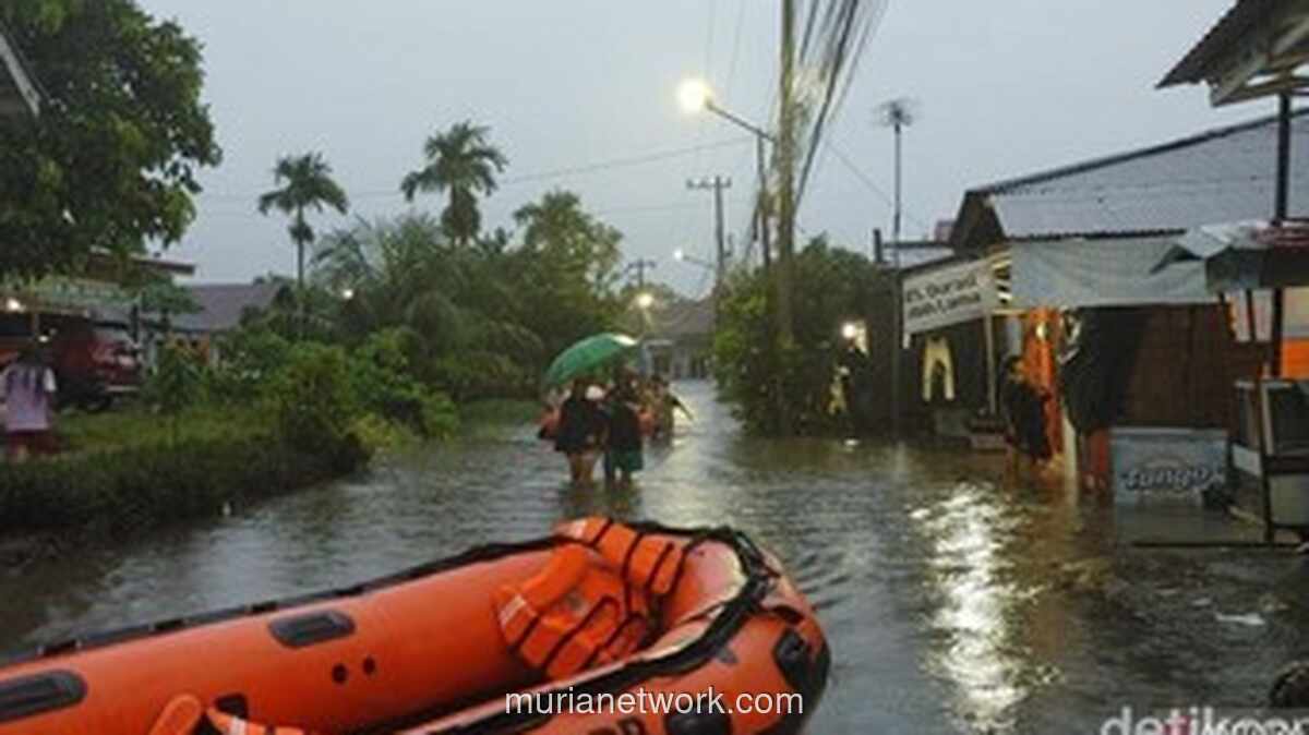 Dadok Tunggul Hitam Terendam, Ratusan Warga Dievakuasi di Tengah Hujan Tak Henti