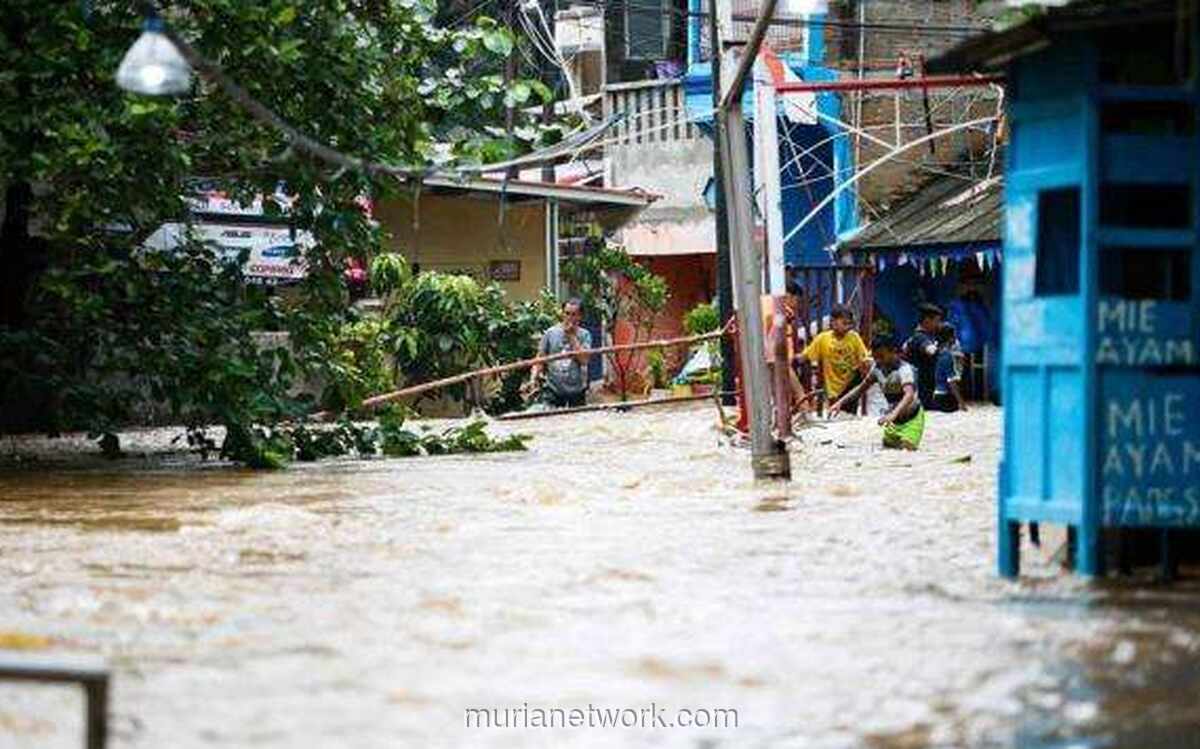 Ciliwung Meluap, 17 RT di Jakarta Timur dan Selatan Terendam Banjir