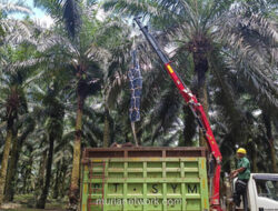 Awal 2026: Minyak dan Batu Bara Lesu, Hanya Nikel yang Bersinar