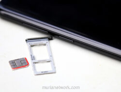 Wajah untuk SIM: Antara Ambisi Digital dan Tantangan di Pelosok