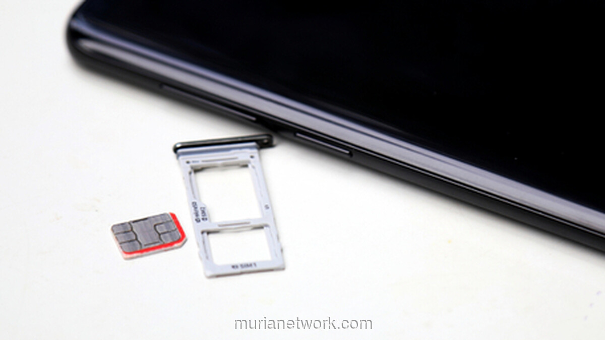 Wajah untuk SIM: Antara Ambisi Digital dan Tantangan di Pelosok