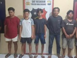 Tujuh Pemuda Diringkus Usai Aniaya Pengendara dan Siram Air Panas ke Ibu Gendong Balita