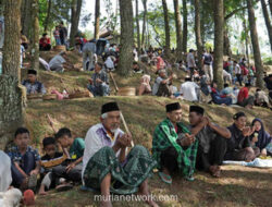 35 Ribu Desa Terjepit di Tengah Hutan, Menteri Ungkap Dampak Mencekik