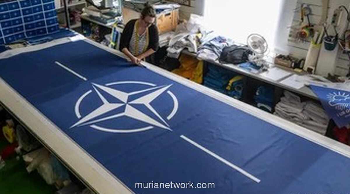 Pasukan NATO Bergerak ke Greenland, Ketegangan di Arktik Memanas