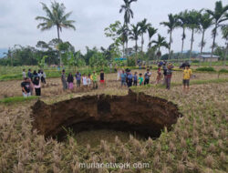 Lubang Misterius Tampak di Sawah Situjuh, Ahli Geologi Ungkap Penyebabnya