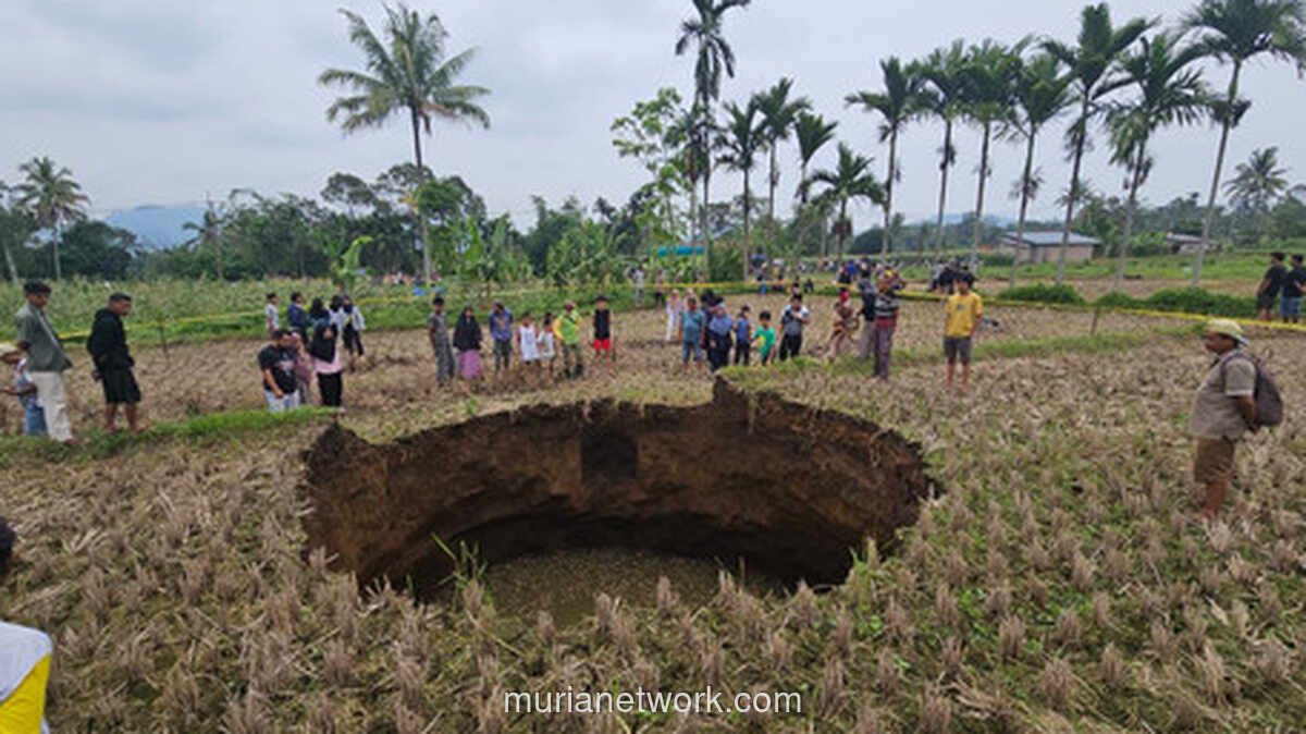 Lubang Misterius Tampak di Sawah Situjuh, Ahli Geologi Ungkap Penyebabnya