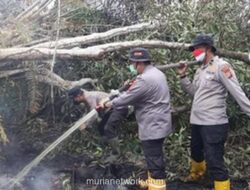 Kebakaran Lahan Gambut di Pelalawan, Tim Gabungan Berjuang Empat Hari di Medan Berat