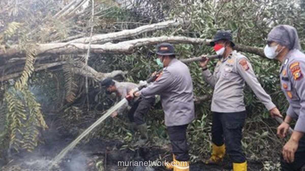 Kebakaran Lahan Gambut di Pelalawan, Tim Gabungan Berjuang Empat Hari di Medan Berat