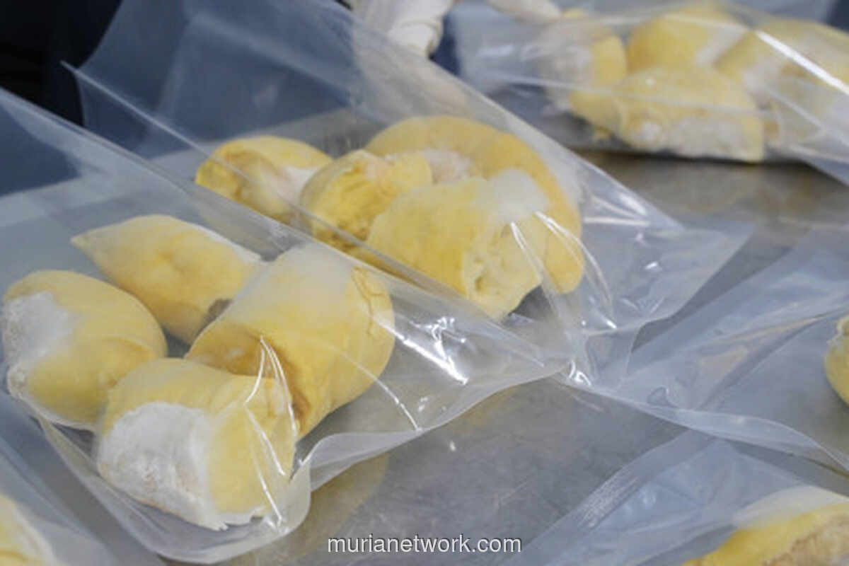 Keluarga Ini Rela Siksaan Makan 5,5 Kg Durian Demi Naik Pesawat