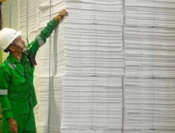 Toba Pulp Lestari Terancam Mati Suri Usai Izin Hutan Dicabut