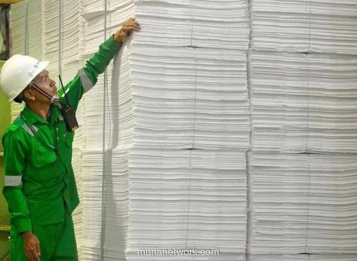 Toba Pulp Lestari Terancam Mati Suri Usai Izin Hutan Dicabut