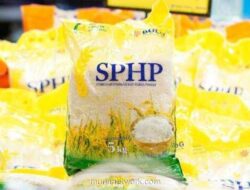 Bapanas Pastikan Program Stabilisasi Harga Beras Lanjut hingga 2026