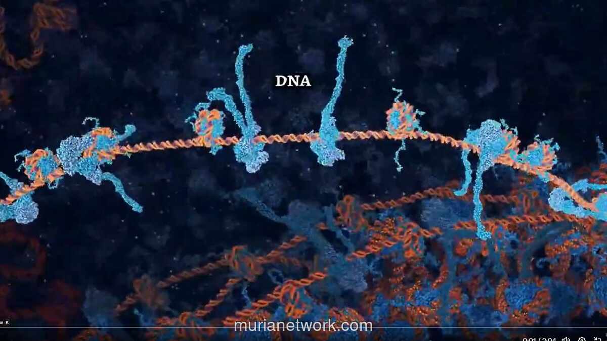 Mekanisme Ajaib dalam Tubuh: 10.000 Kerusakan DNA Diperbaiki Setiap Hari