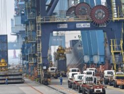 Surplus Perdagangan November 2025 Menguat, Didorong Ekspor Nikel ke China