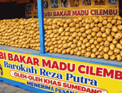 Dari Tanah Sumedang, Ubi Cilembu Menyebarkan Manis yang Sabar