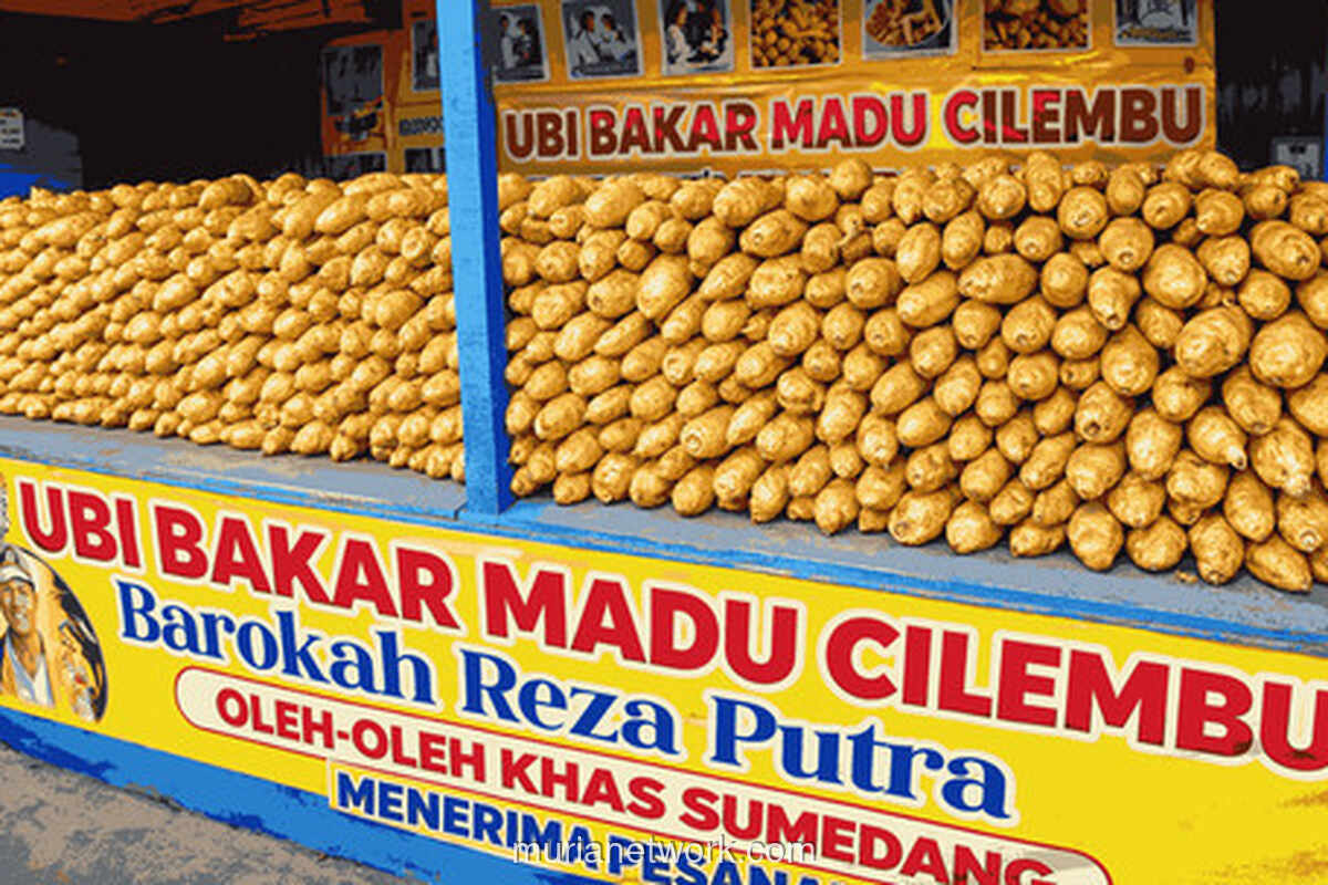 Dari Tanah Sumedang, Ubi Cilembu Menyebarkan Manis yang Sabar