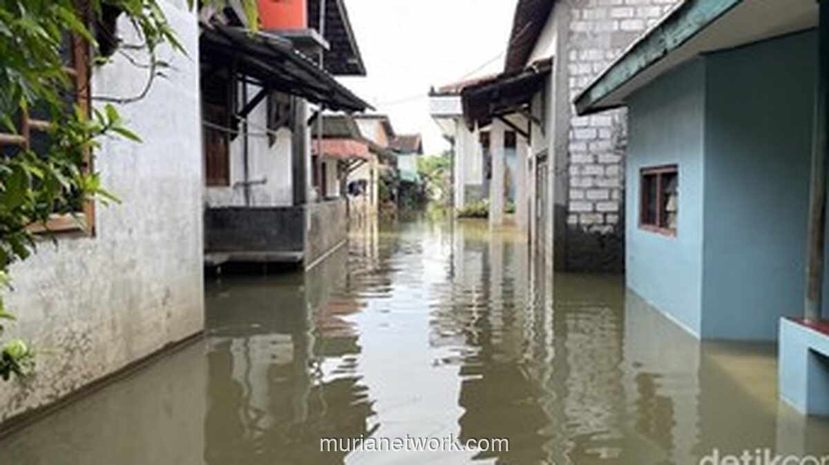 Genangan Air di 60 Desa Pati, Warga Berharap Solusi Baru Usai Kasus Bupati