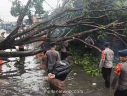 Pohon Tumbang di Priok, Brimob Bergerak Cepat Atasi Kemacetan