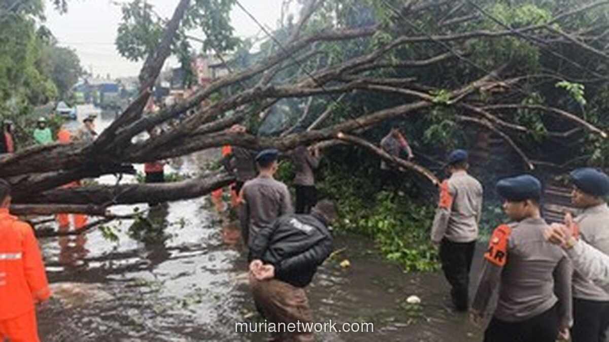 Pohon Tumbang di Priok, Brimob Bergerak Cepat Atasi Kemacetan