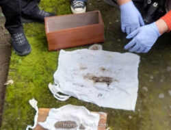 Kotak Kayu Mirip Pocong di Kulon Progo Ternyata Cuma Berisi Tanah