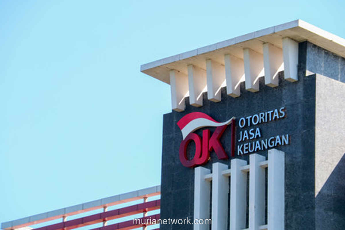 OJK Kini Bisa Gugat Pelaku Usaha, Konsumen Tak Perlu Bayar