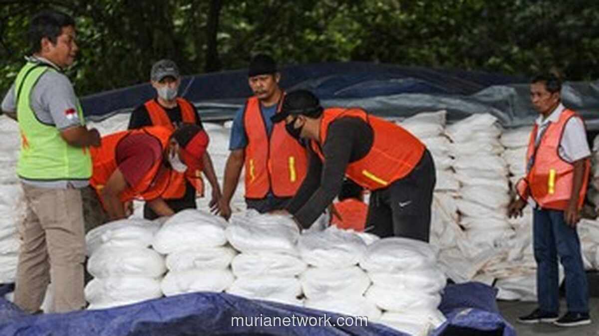 BMKG Klaim Berhasil Tekan Hujan Jabodetabek Hampir 40% Lewat Penyemaian Awan