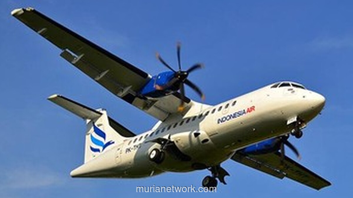 Pesawat Basarnas yang Jatuh di Maros Baru Usai Misi Kemanusiaan di Lampung